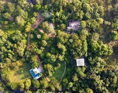 Hiddenside Of Waya Ulpatha Villa Sigiriya Dış mekan fotoğraf