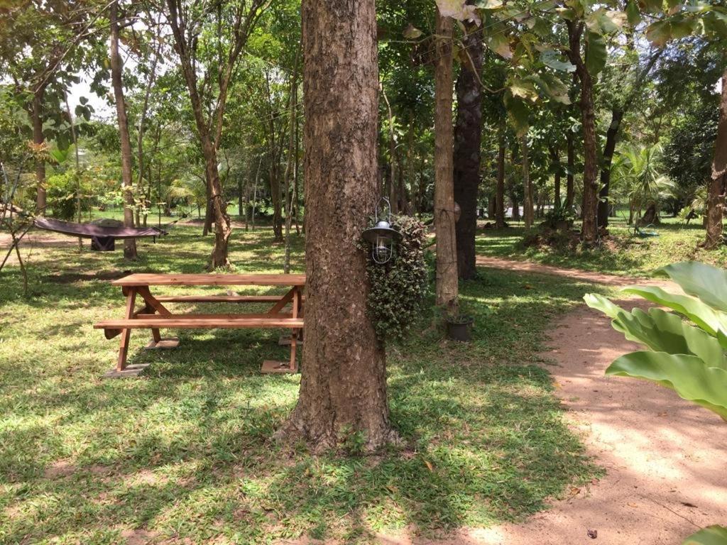 Hiddenside Of Waya Ulpatha Villa Sigiriya Dış mekan fotoğraf