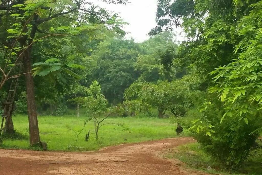 Hiddenside Of Waya Ulpatha Villa Sigiriya Dış mekan fotoğraf